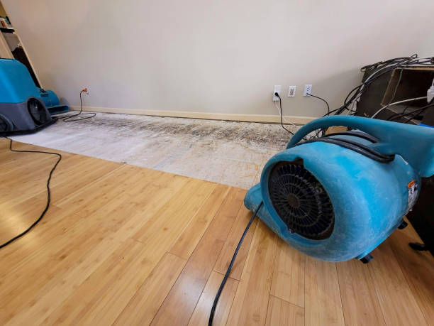Professional Water Damage Repair technician working in Gorham, ME